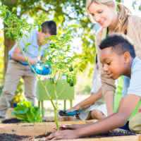 25AUT42 F2F: Gardening for Biodiversity