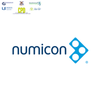 26SPR52 (LL) Fun Activities with Numicon 